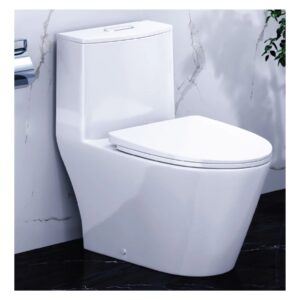 Bàn cầu 1 khối CAESAR CD1363