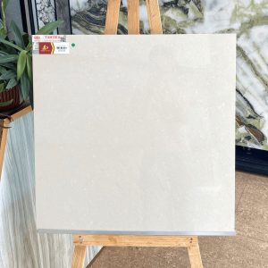 Gạch Taicera 60x60 P67702N