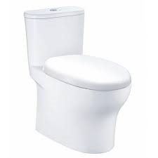 Bàn cầu một khối CD1394