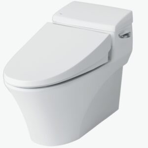 Bồn cầu 1 khối AC-1017VRN/BW1