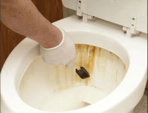 4 Lý Do Bàn Cầu Ố Vàng Dù Chi Hàng Chục Triệu
